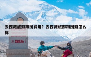 去西藏旅游跟团费用？去西藏旅游跟团游怎么样