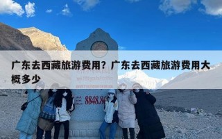 广东去西藏旅游费用？广东去西藏旅游费用大概多少
