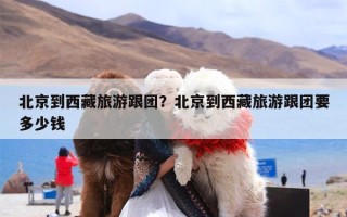北京到西藏旅游跟团？北京到西藏旅游跟团要多少钱