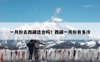 一月份去西藏适合吗？西藏一月份有多冷