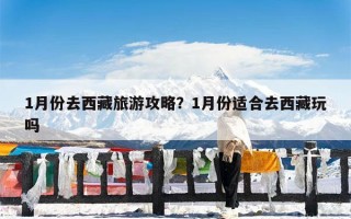 1月份去西藏旅游攻略？1月份适合去西藏玩吗