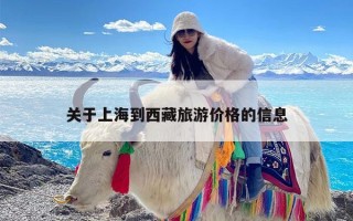 关于上海到西藏旅游价格的信息